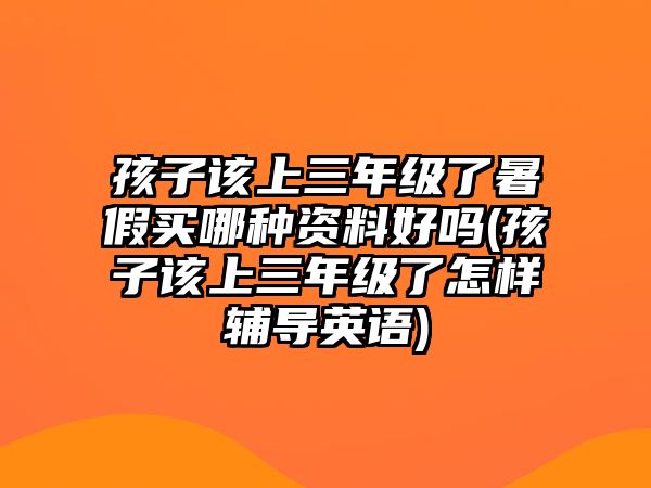 孩子該上三年級了暑假買哪種資料好嗎(孩子該上三年級了怎樣輔導英語)