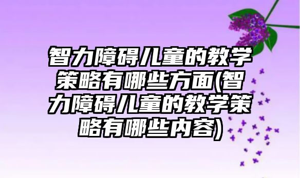 智力障礙兒童的教學(xué)策略有哪些方面(智力障礙兒童的教學(xué)策略有哪些內(nèi)容)