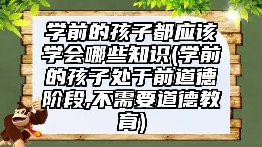 學前的孩子都應該學會哪些知識(學前的孩子處于前道德階段,不需要道德教育)