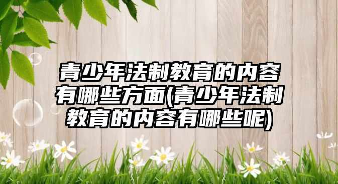 青少年法制教育的內(nèi)容有哪些方面(青少年法制教育的內(nèi)容有哪些呢)