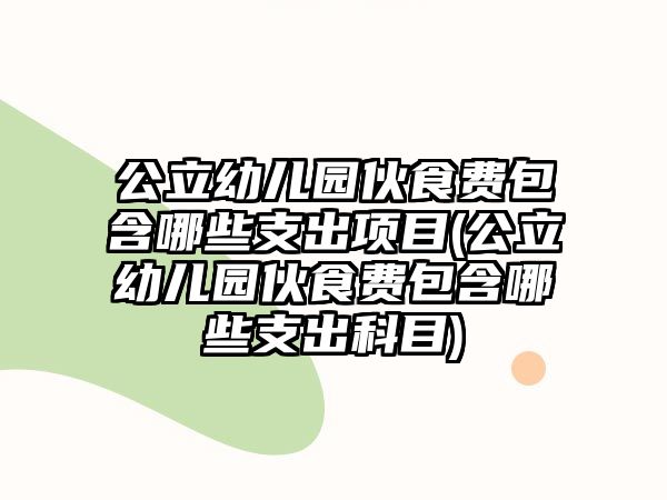 公立幼兒園伙食費包含哪些支出項目(公立幼兒園伙食費包含哪些支出科目)