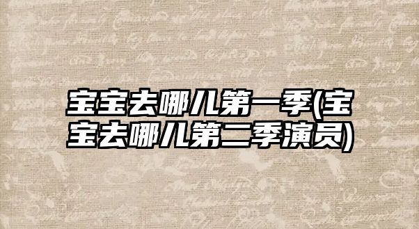 寶寶去哪兒第一季(寶寶去哪兒第二季演員)