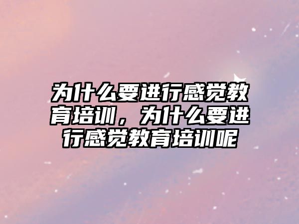 為什么要進行感覺教育培訓(xùn)，為什么要進行感覺教育培訓(xùn)呢