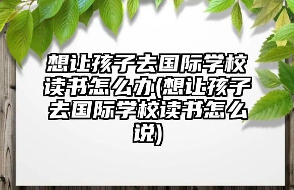 想讓孩子去國際學(xué)校讀書怎么辦(想讓孩子去國際學(xué)校讀書怎么說)