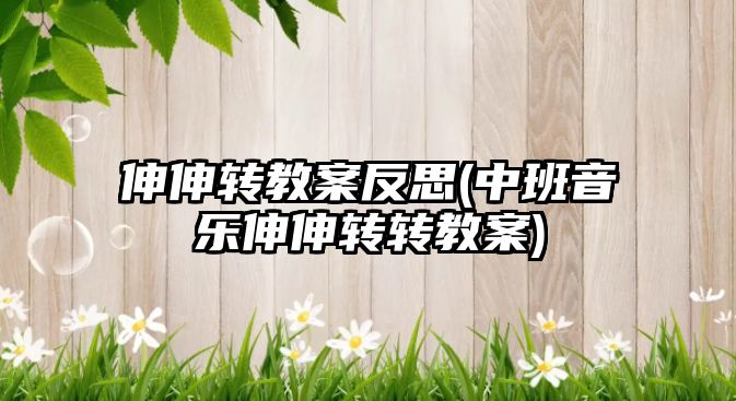 伸伸轉教案反思(中班音樂伸伸轉轉教案)