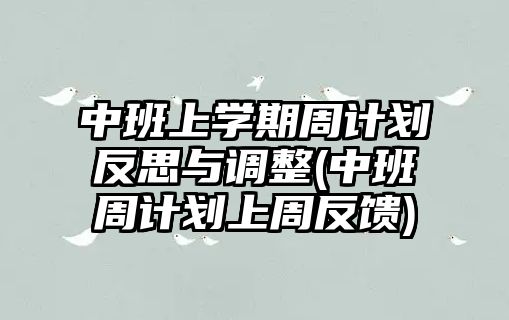 中班上學(xué)期周計(jì)劃反思與調(diào)整(中班周計(jì)劃上周反饋)