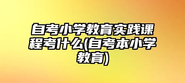 自考小學(xué)教育實(shí)踐課程考什么(自考本小學(xué)教育)