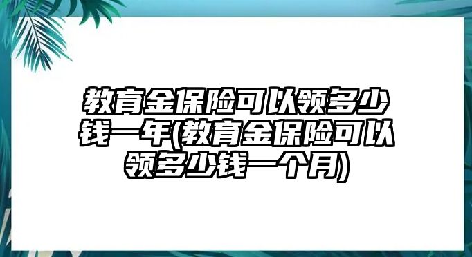 教育金保險(xiǎn)可以領(lǐng)多少錢一年(教育金保險(xiǎn)可以領(lǐng)多少錢一個(gè)月)