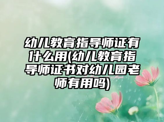 幼兒教育指導(dǎo)師證有什么用(幼兒教育指導(dǎo)師證書對幼兒園老師有用嗎)