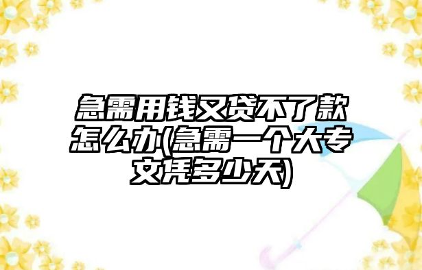 急需用錢又貸不了款怎么辦(急需一個大專文憑多少天)