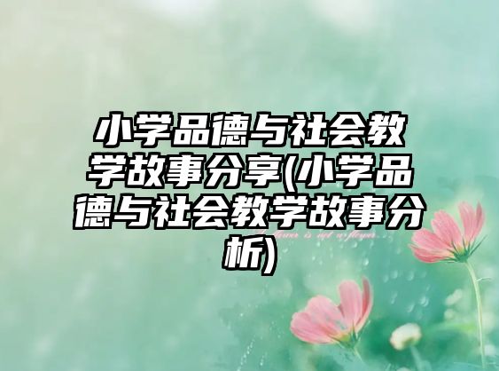 小學品德與社會教學故事分享(小學品德與社會教學故事分析)