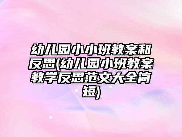 幼兒園小小班教案和反思(幼兒園小班教案教學(xué)反思范文大全簡短)