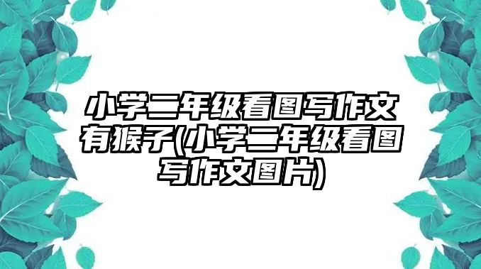 小學(xué)二年級(jí)看圖寫作文有猴子(小學(xué)二年級(jí)看圖寫作文圖片)