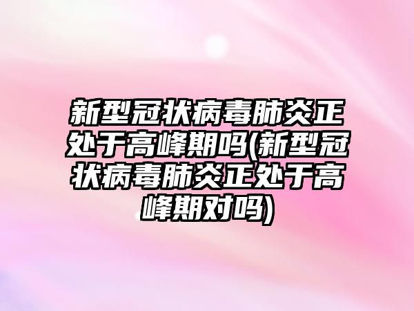 新型冠狀病毒肺炎正處于高峰期嗎(新型冠狀病毒肺炎正處于高峰期對嗎)