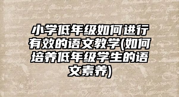 小學低年級如何進行有效的語文教學(如何培養(yǎng)低年級學生的語文素養(yǎng))