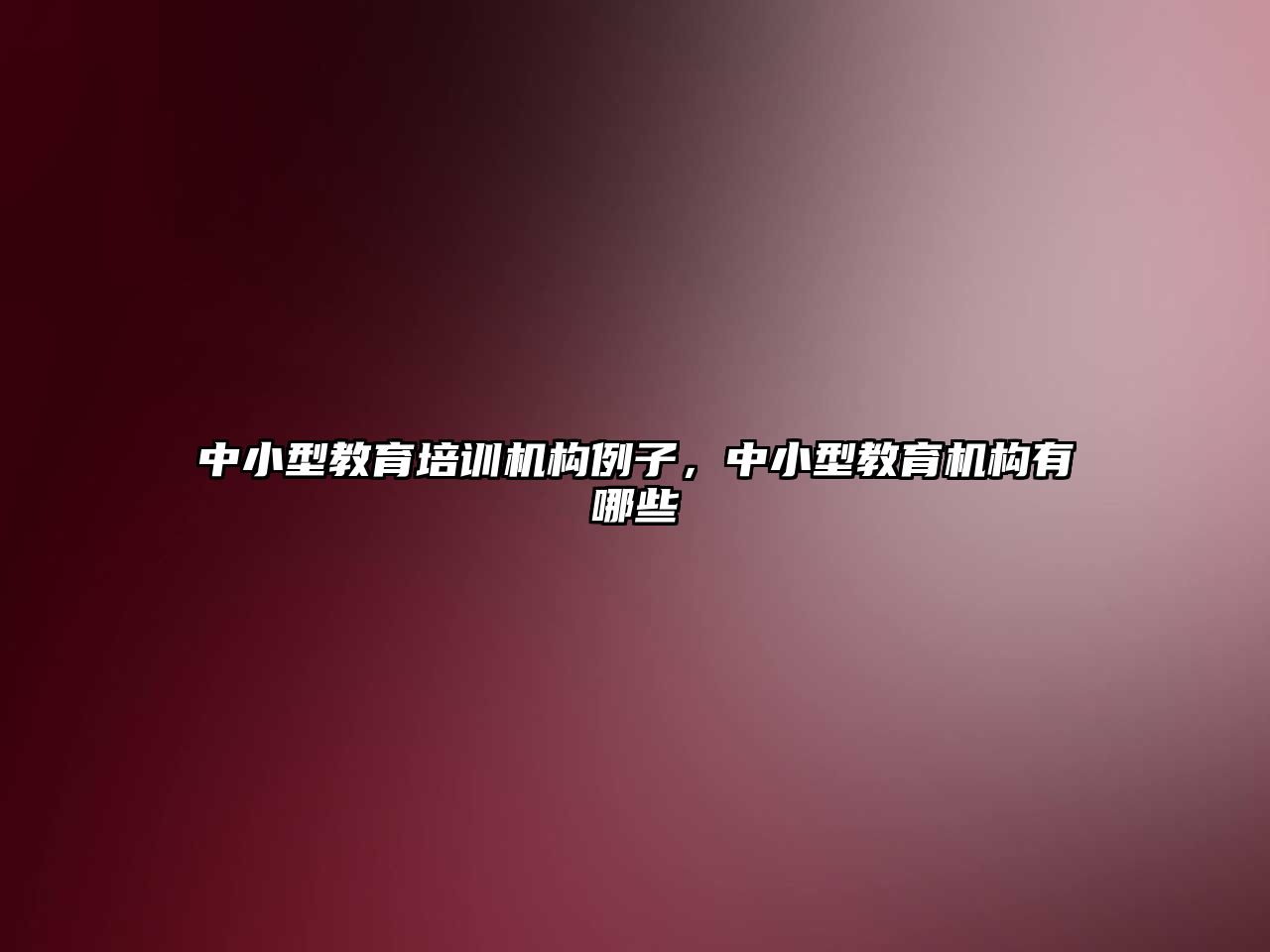 中小型教育培訓(xùn)機構(gòu)例子，中小型教育機構(gòu)有哪些