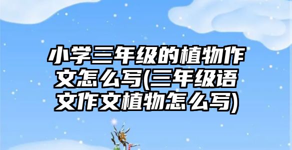 小學(xué)三年級的植物作文怎么寫(三年級語文作文植物怎么寫)