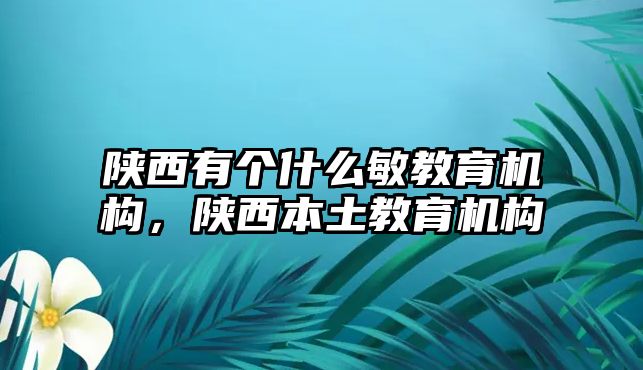 陜西有個(gè)什么敏教育機(jī)構(gòu)，陜西本土教育機(jī)構(gòu)