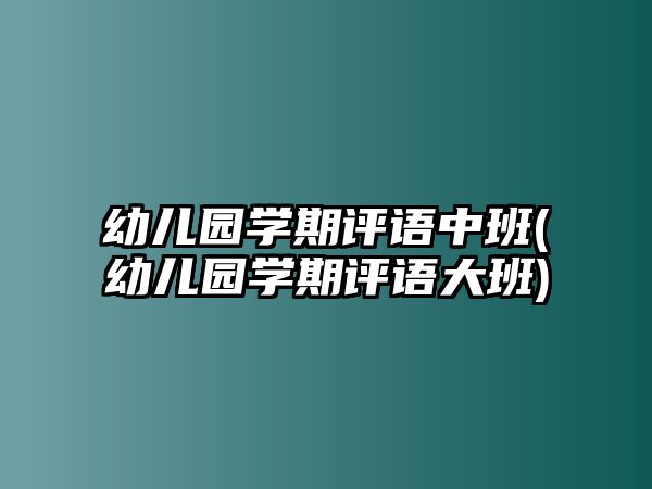 幼兒園學(xué)期評語中班(幼兒園學(xué)期評語大班)