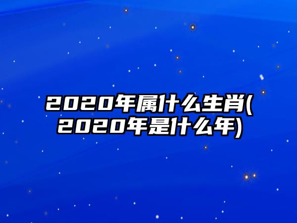 2020年屬什么生肖(2020年是什么年)