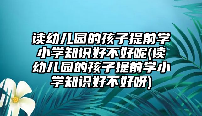 讀幼兒園的孩子提前學(xué)小學(xué)知識好不好呢(讀幼兒園的孩子提前學(xué)小學(xué)知識好不好呀)