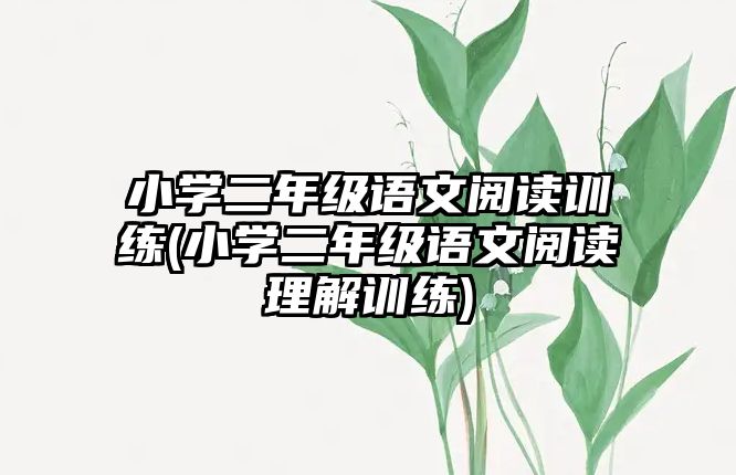 小學二年級語文閱讀訓練(小學二年級語文閱讀理解訓練)