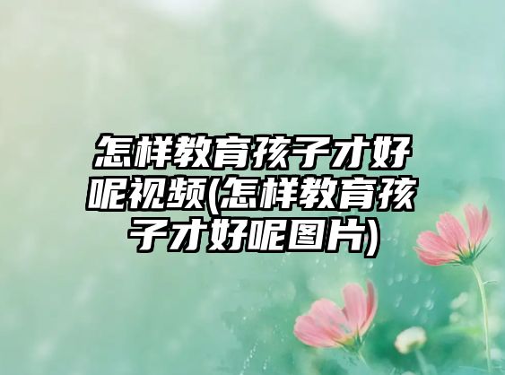 怎樣教育孩子才好呢視頻(怎樣教育孩子才好呢圖片)