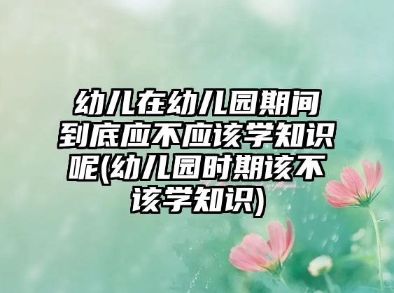 幼兒在幼兒園期間到底應(yīng)不應(yīng)該學(xué)知識呢(幼兒園時期該不該學(xué)知識)