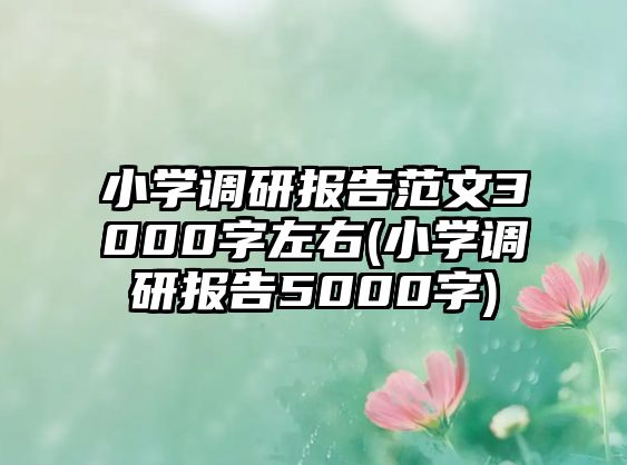 小學調(diào)研報告范文3000字左右(小學調(diào)研報告5000字)