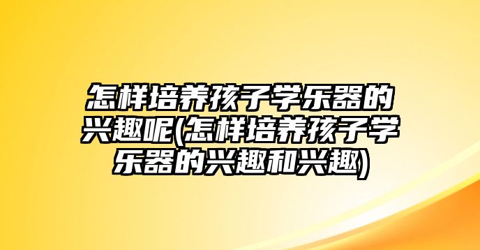 怎樣培養(yǎng)孩子學樂器的興趣呢(怎樣培養(yǎng)孩子學樂器的興趣和興趣)