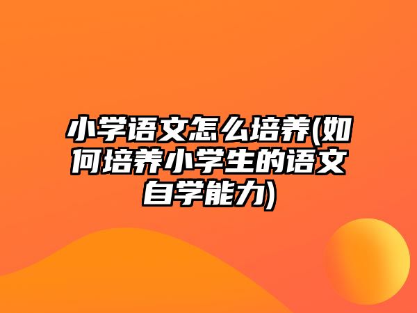 小學(xué)語文怎么培養(yǎng)(如何培養(yǎng)小學(xué)生的語文自學(xué)能力)