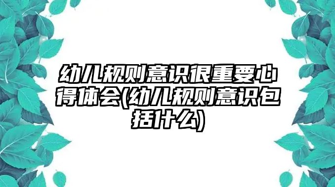 幼兒規(guī)則意識很重要心得體會(幼兒規(guī)則意識包括什么)