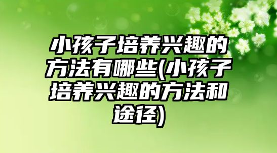 小孩子培養(yǎng)興趣的方法有哪些(小孩子培養(yǎng)興趣的方法和途徑)