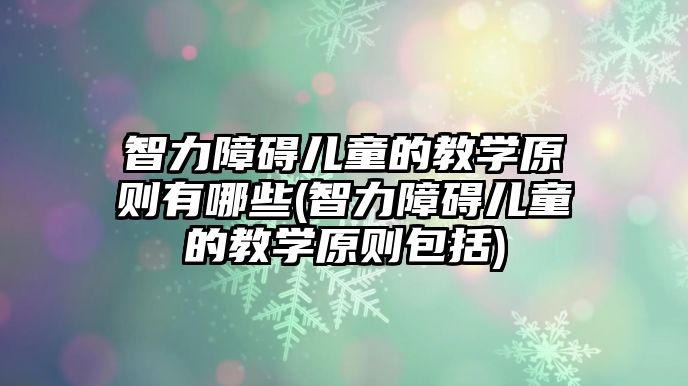 智力障礙兒童的教學(xué)原則有哪些(智力障礙兒童的教學(xué)原則包括)