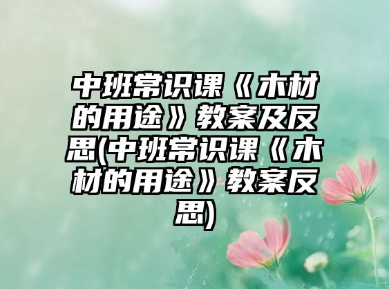 中班常識(shí)課《木材的用途》教案及反思(中班常識(shí)課《木材的用途》教案反思)