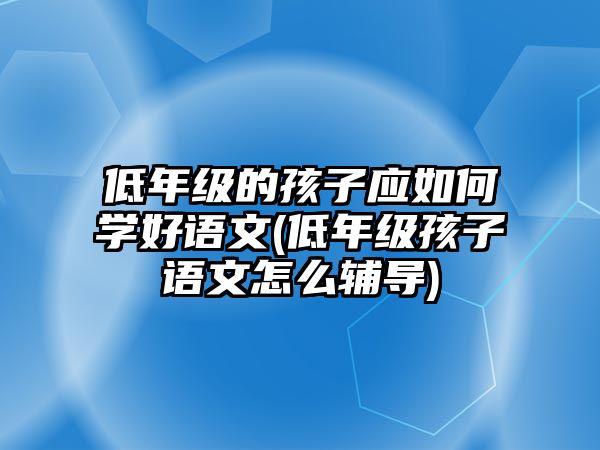 低年級的孩子應如何學好語文(低年級孩子語文怎么輔導)