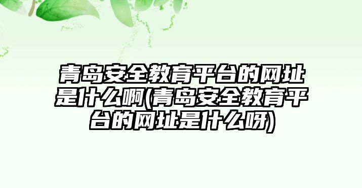 青島安全教育平臺(tái)的網(wǎng)址是什么啊(青島安全教育平臺(tái)的網(wǎng)址是什么呀)