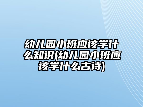 幼兒園小班應(yīng)該學(xué)什么知識(幼兒園小班應(yīng)該學(xué)什么古詩)