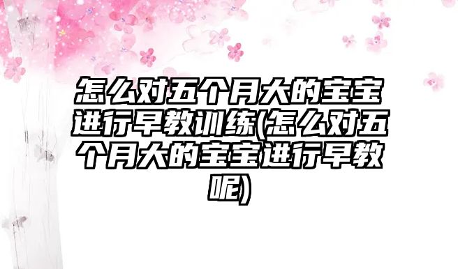 怎么對五個月大的寶寶進(jìn)行早教訓(xùn)練(怎么對五個月大的寶寶進(jìn)行早教呢)