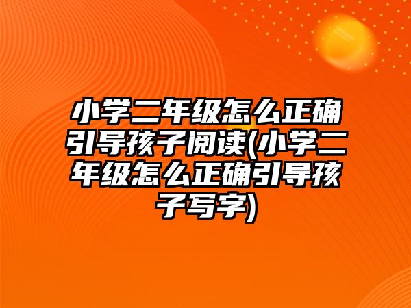 小學二年級怎么正確引導孩子閱讀(小學二年級怎么正確引導孩子寫字)