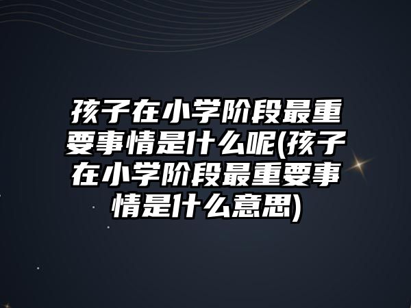 孩子在小學(xué)階段最重要事情是什么呢(孩子在小學(xué)階段最重要事情是什么意思)