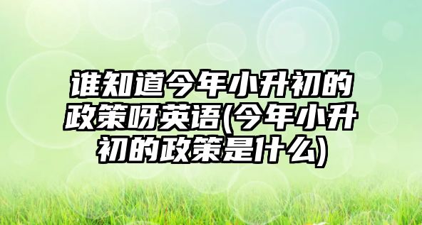 誰知道今年小升初的政策呀英語(今年小升初的政策是什么)