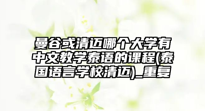 曼谷或清邁哪個大學(xué)有中文教學(xué)泰語的課程(泰國語言學(xué)校清邁)_重復(fù)