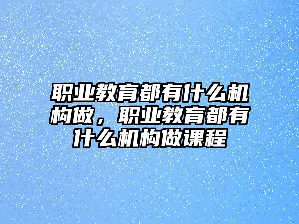 職業(yè)教育都有什么機(jī)構(gòu)做，職業(yè)教育都有什么機(jī)構(gòu)做課程