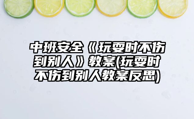 中班安全《玩耍時(shí)不傷到別人》教案(玩耍時(shí)不傷到別人教案反思)