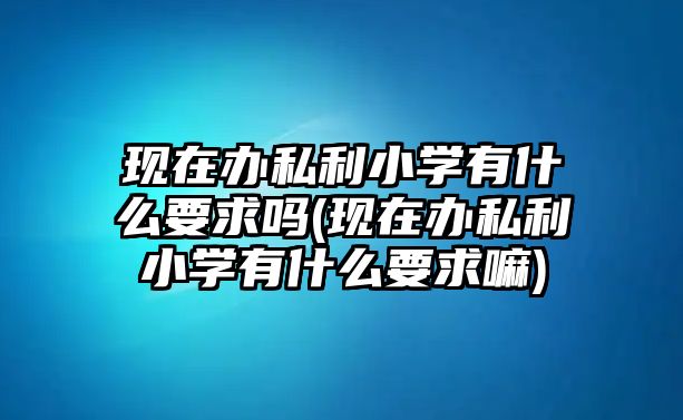 現(xiàn)在辦私利小學(xué)有什么要求嗎(現(xiàn)在辦私利小學(xué)有什么要求嘛)