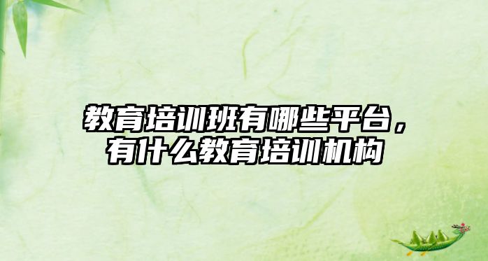 教育培訓班有哪些平臺，有什么教育培訓機構