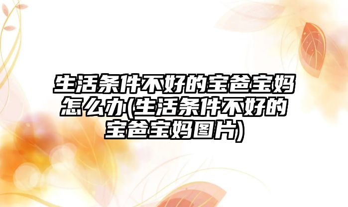 生活條件不好的寶爸寶媽怎么辦(生活條件不好的寶爸寶媽圖片)