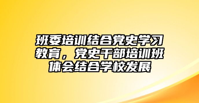 班委培訓(xùn)結(jié)合黨史學(xué)習(xí)教育，黨史干部培訓(xùn)班體會結(jié)合學(xué)校發(fā)展