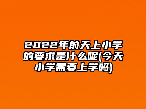 2022年前天上小學的要求是什么呢(今天小學需要上學嗎)